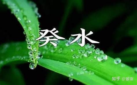 癸水名人|癸水命